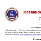 November 2013 Newsletter
